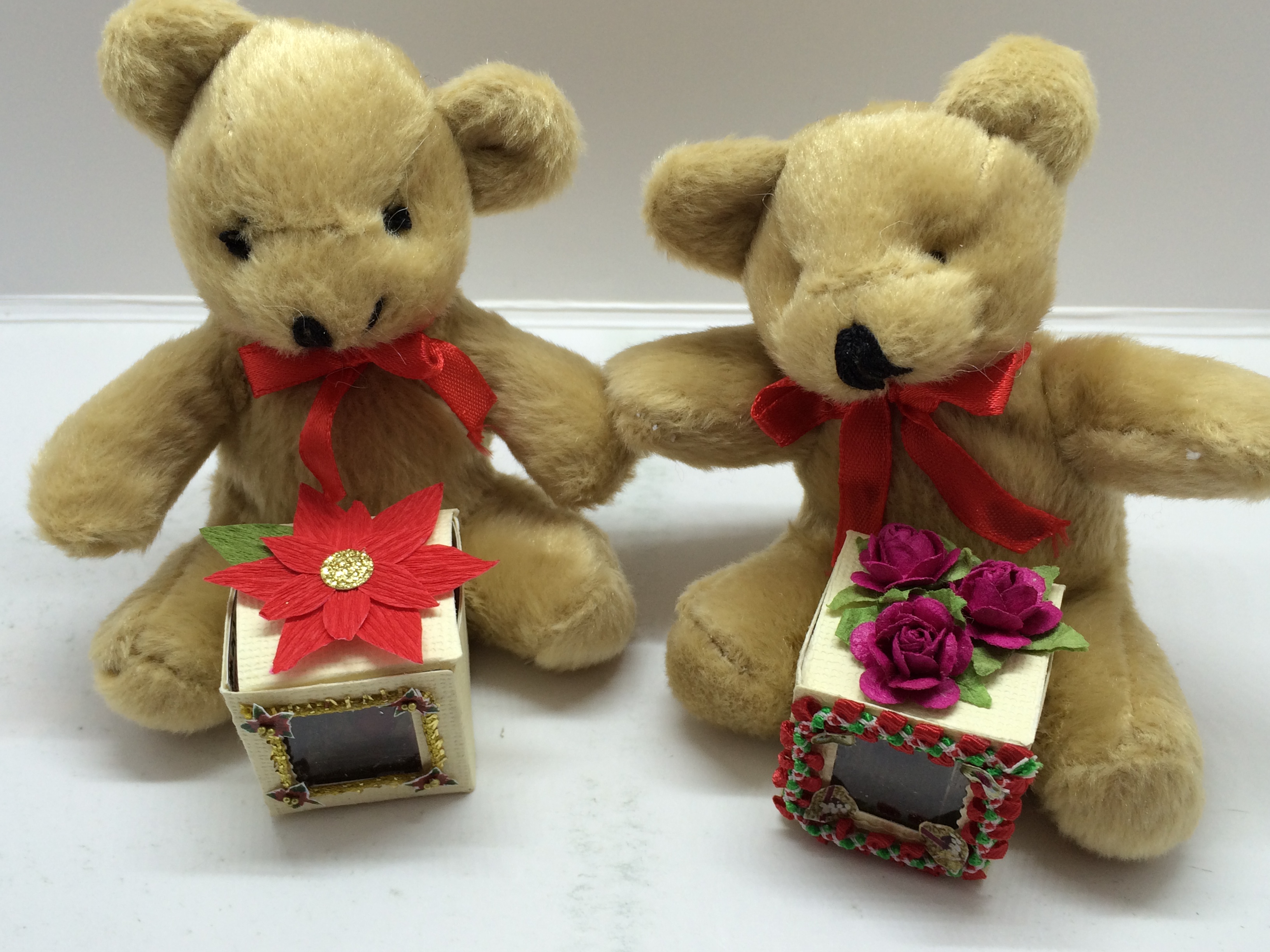 Teddy Bear Cube Project