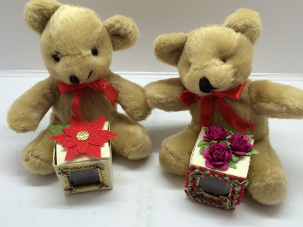 Teddy Bear Cube Project