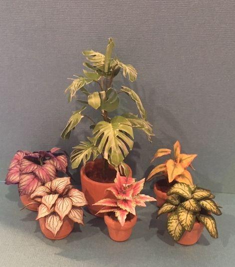 e0b9bd62-d3f7-4851-b7ed-d5a15ab6a539